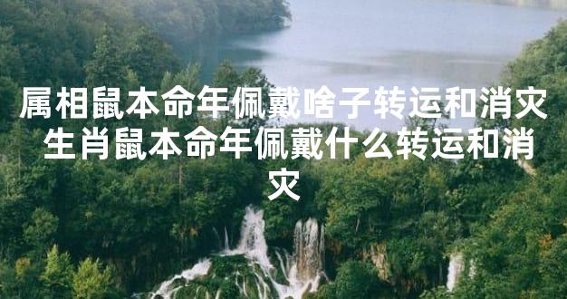 属相鼠本命年佩戴啥子转运和消灾 生肖鼠本命年佩戴什么转运和消灾